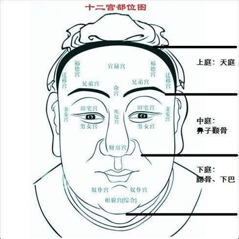 50歲面相|【50至60歲面相】揭密！50至60歲面相圖解，掌握晚年運勢密碼